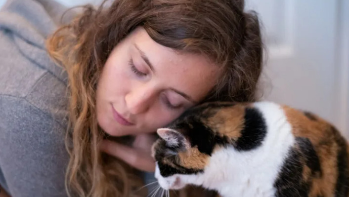 FIP vaccination strategies