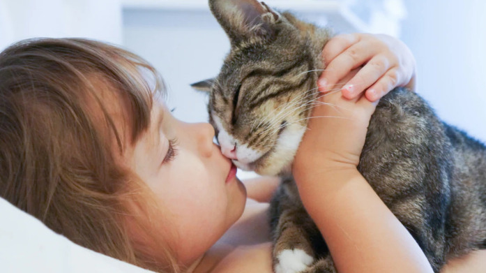 What to do if FIP is incurable