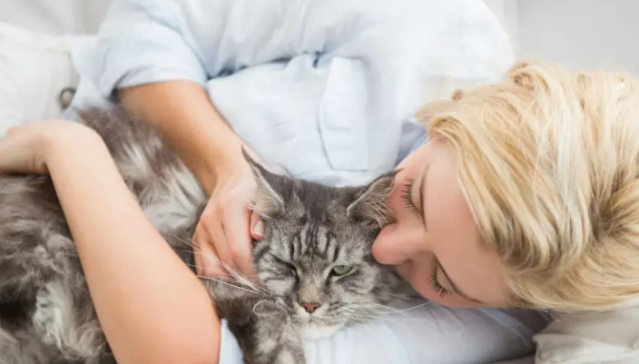 Can Cats Be Bathed During FIP Treatment