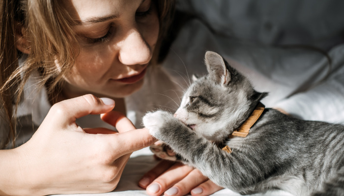 Does Early Treatment Improve Survival in Cats With FIP