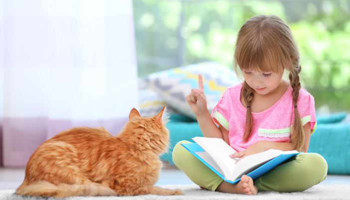 What Dietary Precautions Are Needed During FIP Treatment