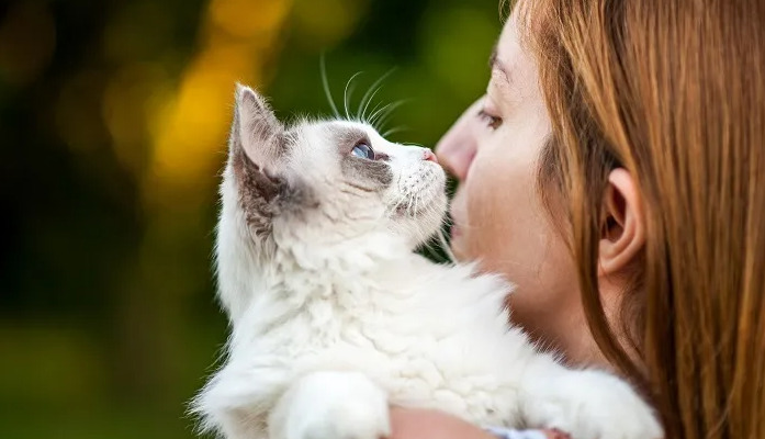 How long is the treatment period for FIP