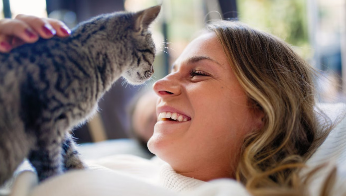 How Much Does It Cost to Cure FIP