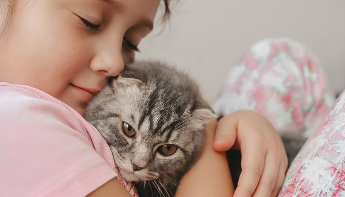 How to Manage a Multi-Cat Household During FIP Diagnosis