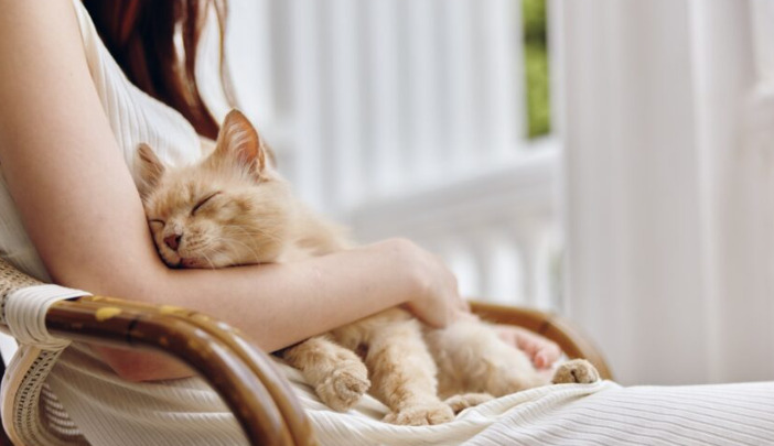 Under What Circumstances Should FIP Be Strongly Suspected