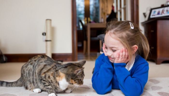 Is FIP Related to the Environment