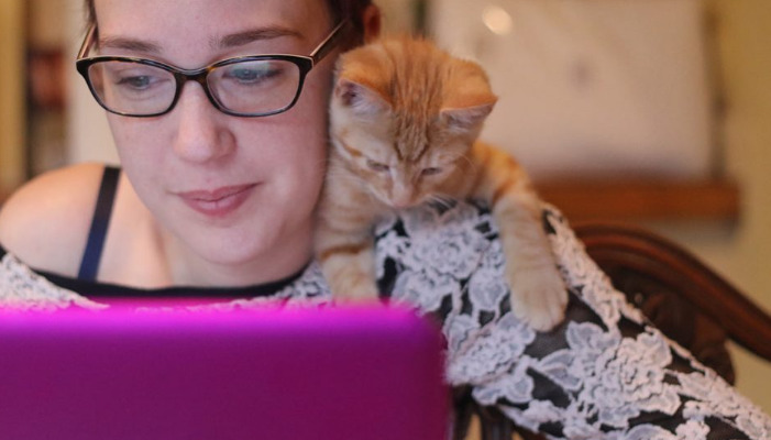 Can Indoor Cats Get FIP