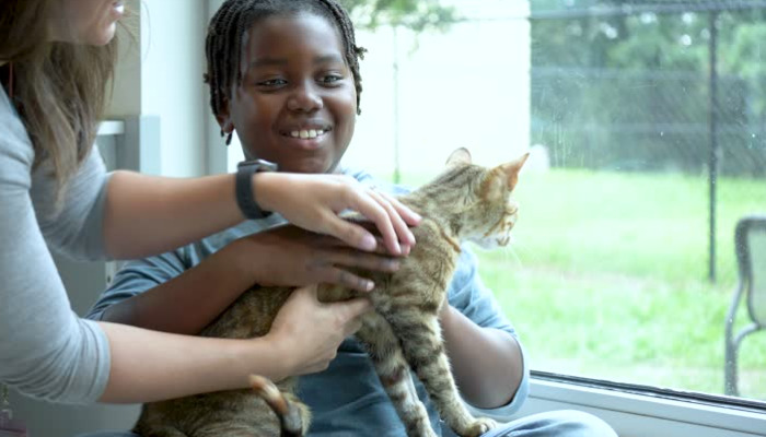 When Is the Best Time to Start Preventing FIP