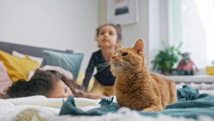 What Follow-Up Care Is Needed After FIP Treatment