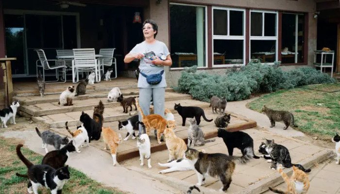 When Should Improvement Be Expected After Starting FIP Treatment