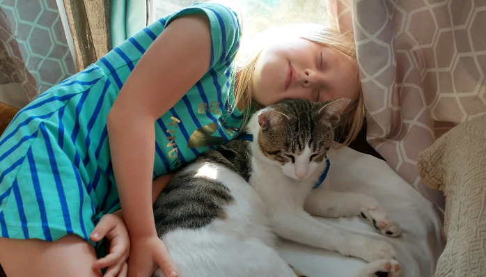 Clinical Diagnostic Criteria for FIP