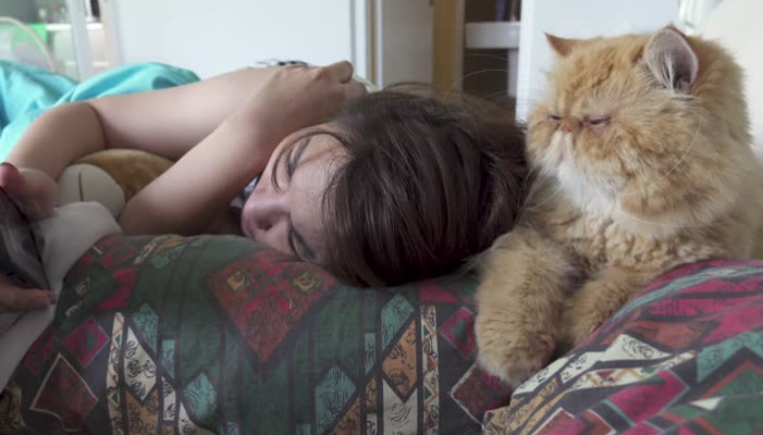 Can Healthy Cats Still Develop FIP