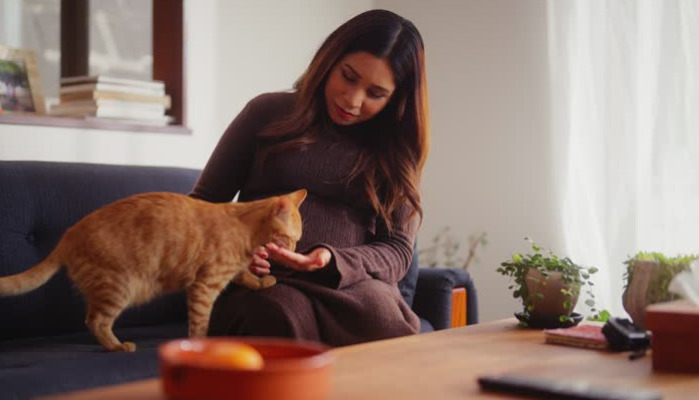 Can Ambiguous Blood Test Results Still Indicate FIP