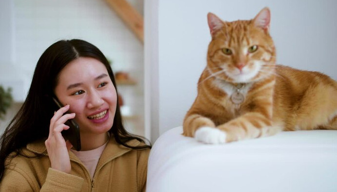 How long can a cat with FIP live