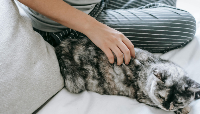 What Causes FIP and How Can Owners Reduce the Risk