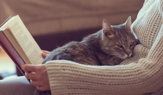 Viral Variations of FIP and Their Clinical Impact