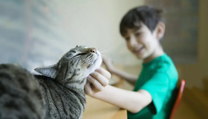 What are the symptoms of FIP