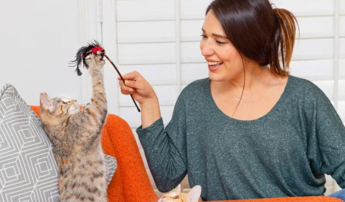 Best Supportive Care For FIP Cats