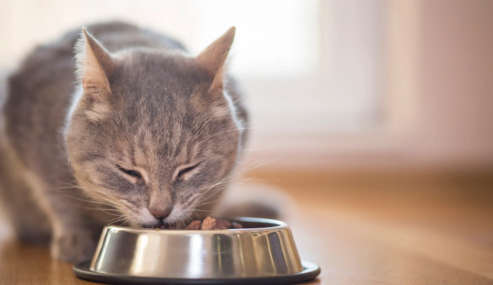 What Tests Are Commonly Used to Diagnose FIP