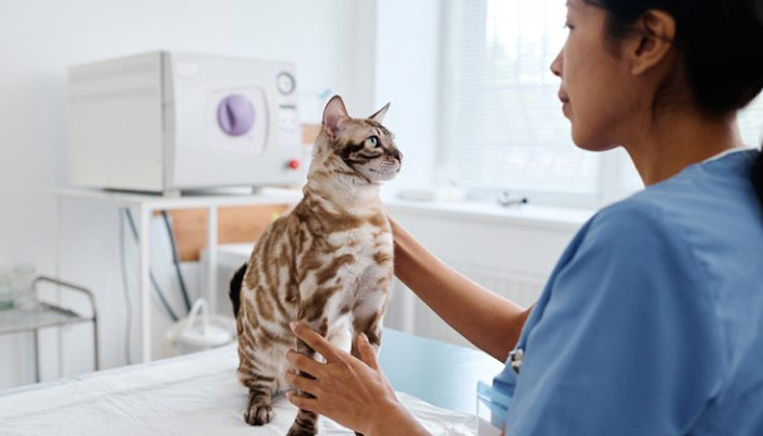 Home care guidelines for FIP