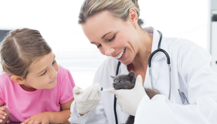 Can Regular Veterinary Clinics Diagnose FIP