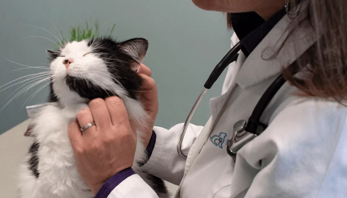 Three Things Owners Can Do Before FIP Is