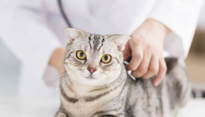 Are Temporary Setbacks During FIP Treatment Serious