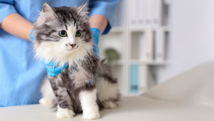 How to treat dry FIP