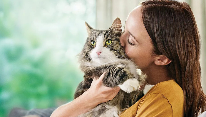 Prognosis and Recovery of FIP