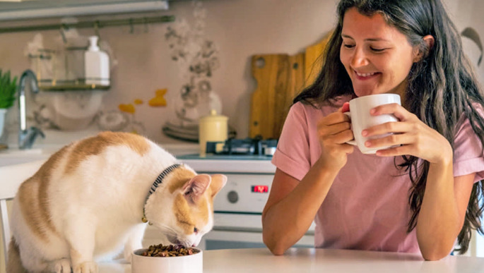 Is FIP the Biggest Fear for Cat Owners