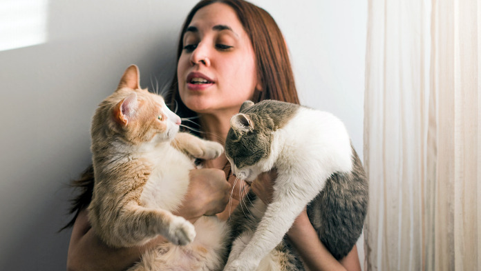 What Are the Most Common Reasons FIP Medication Fails