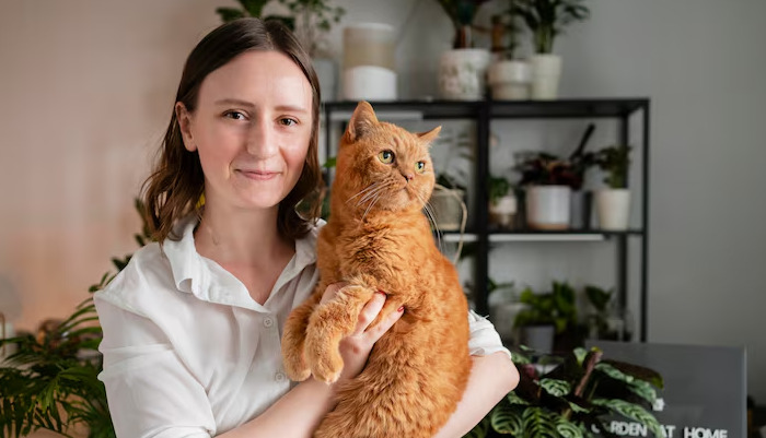 How Is FIP Diagnosed in Cats