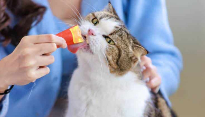 How to prevent FIP recurrence