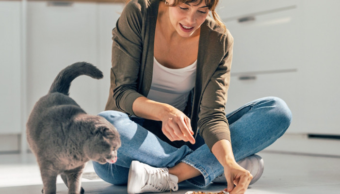 Is an FIP Diagnosis Always a Poor Prognosis