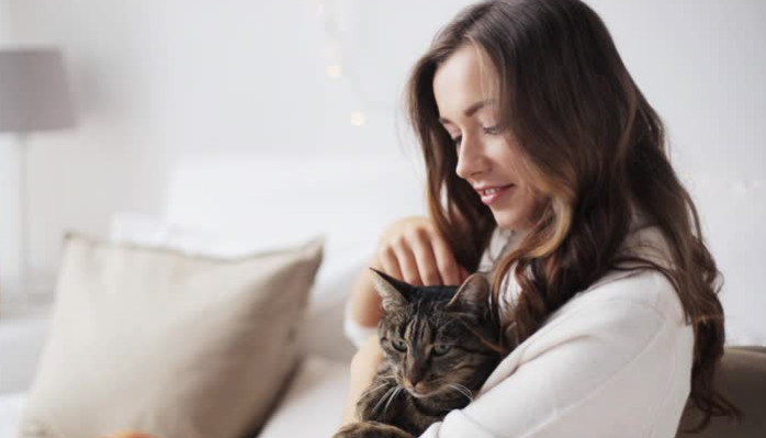 What are the treatment drugs for FIP