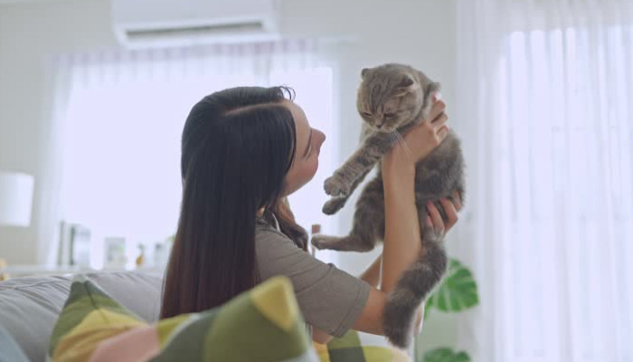 Occasional Vomiting and Lethargy — Could It Be FIP