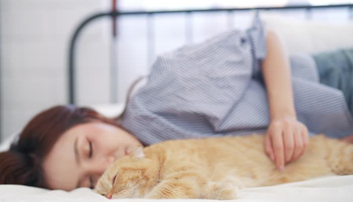 What's good to feed a cat to prevent FIP