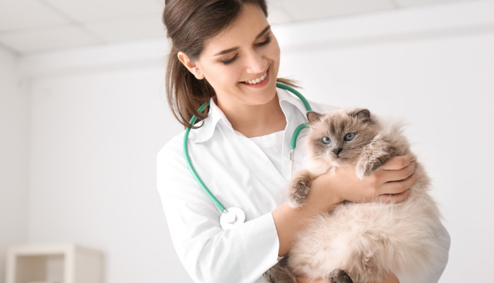 Is Dry FIP the Most Difficult Form of FIP to Diagnose