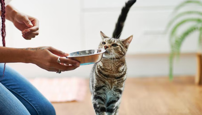 What Are the Risks of Treating Without a