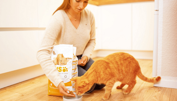 Are There Cases of FIP Misdiagnosis