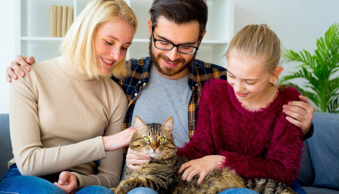 What Happens if FIP Medication Is Delayed