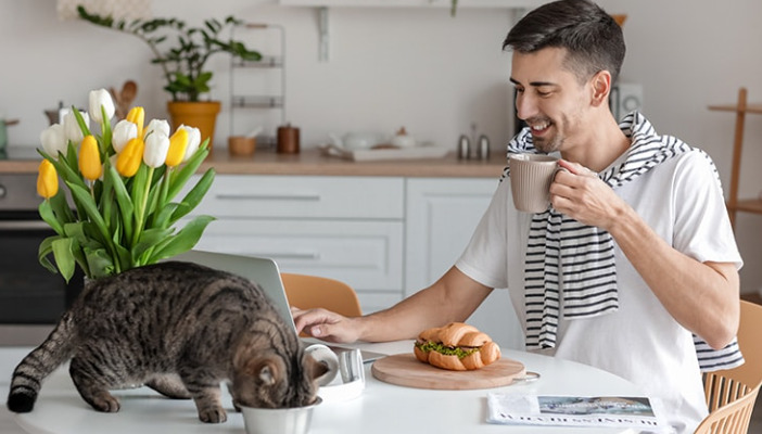 Symptoms and Timing of FIP