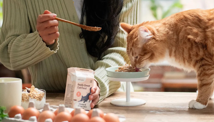 Are FIP Diagnostic Costs High