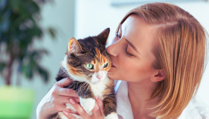 How To Switch From Injections To Oral FIP Treatment