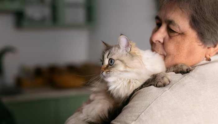 Can Kittens Survive FIP with Early Treatment