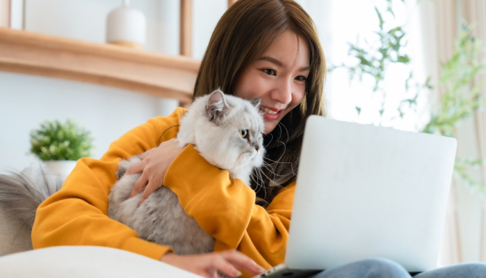 Eye Symptoms of Dry FIP in Cats