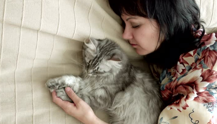 FIP Blood Test Results In Cats