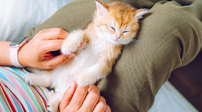 Three things to avoid with FIP