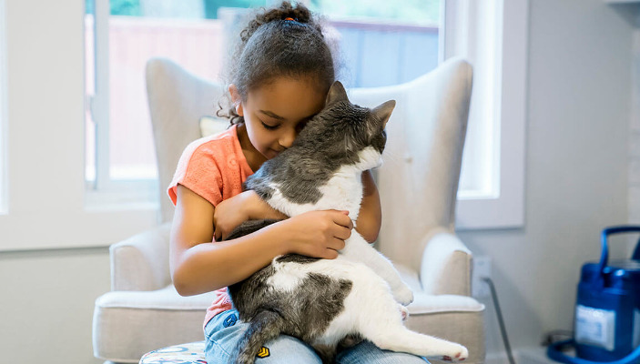 Is It Normal to See No Improvement in the First Few Days of FIP Treatment