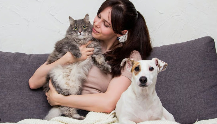 Can Emotional Stress Contribute to FIP Development